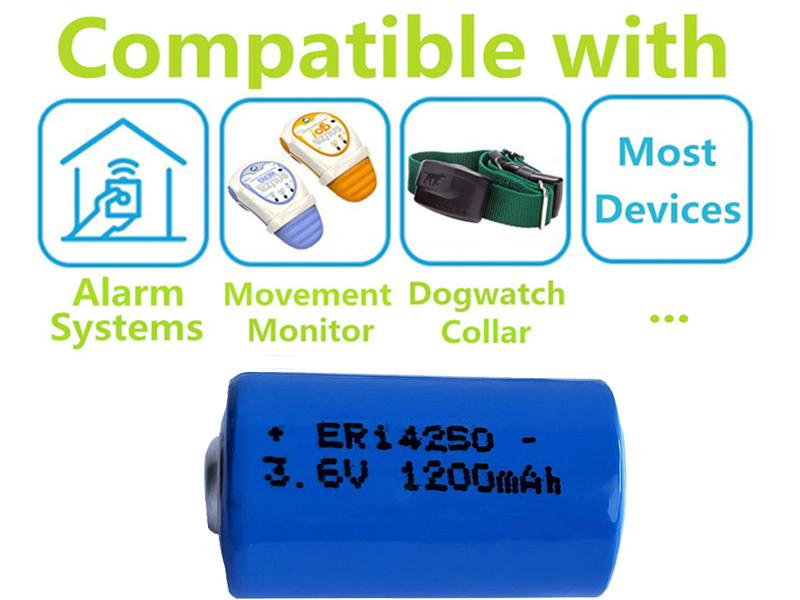 What Is A Lithium Battery Intended For Operation In Low Temperatures?